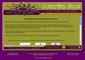 Screeming Bison Graphic Design Services
