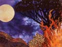 FullMoonAndCampfire