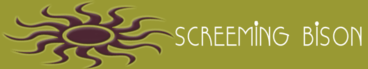 Screeming Bison Graphic Services